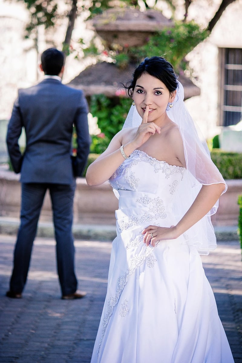 Celestial Wedding Dress